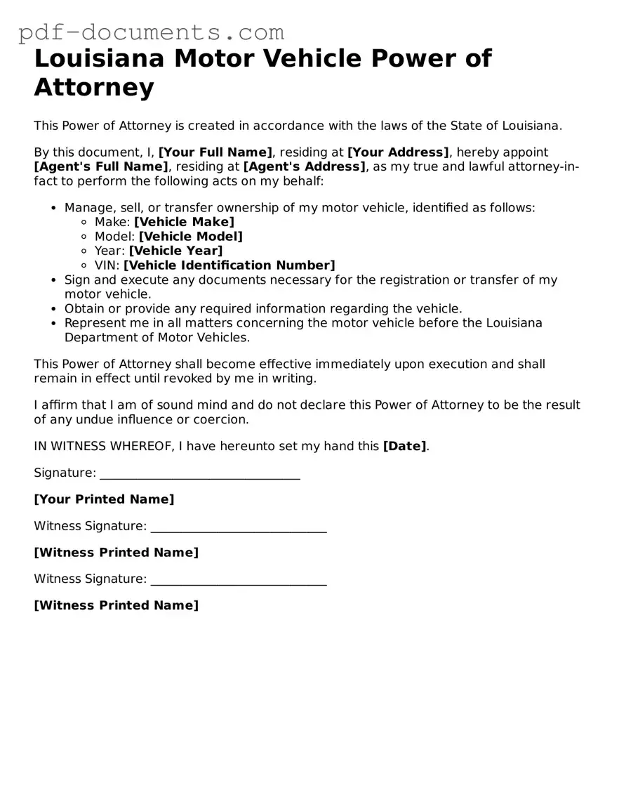 Legal Motor Vehicle Power of Attorney Template for the State of Louisiana