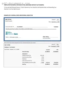 Download Payroll Check Form